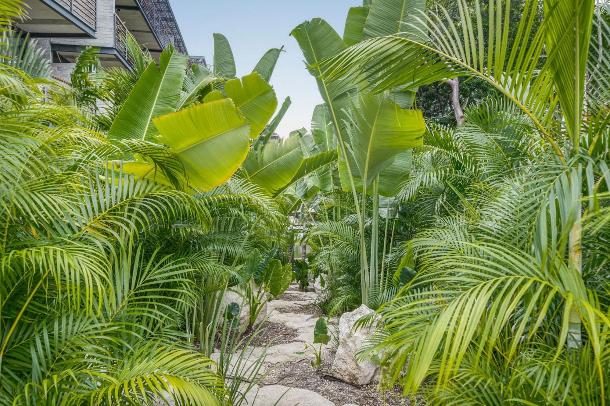 Waterworld Tulum 2Br W Cenote -Lagoons - Big Gym Eksteriør bilde